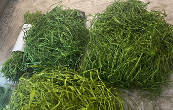 Bild 2 für Ghillie suit raffia