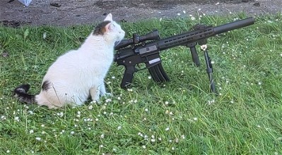 Image for Colt M4 Blast (p.s. cat is not for sale)
