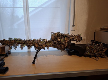 Image 4 pour Upgraded vsr10