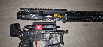 Afbeelding 2 van Monk build (s2n Junkie)