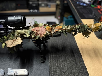 Bild 5 für Novritsch SSG10 A2