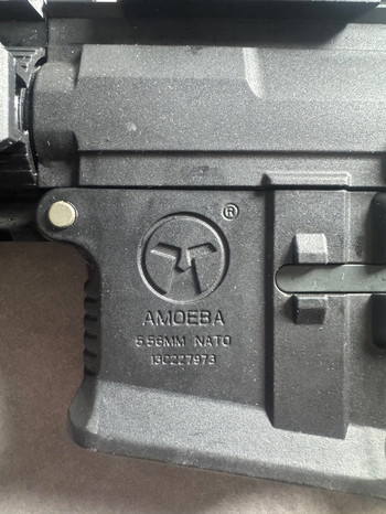 Image 2 pour Amoeba m4 short black