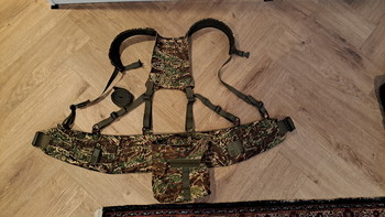 Image 2 for Novritsch Battle belt Kreuzotter