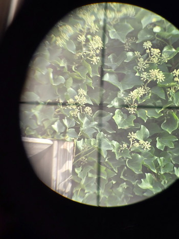 Afbeelding 5 van ACOG Scope 4X Zoom te koop/ruil