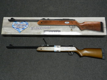 Image 4 for DIANA OCTOBERFEEST