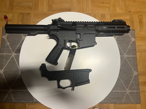 Imagen para Arp9/arp556