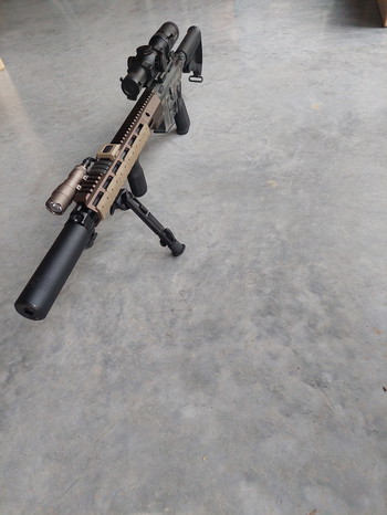 Image 2 for TM MWS dmr