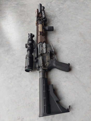 Image 3 for TM MWS dmr