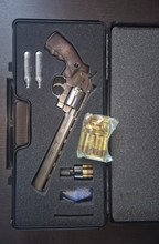 Image pour Dan Wesson Co2 Revolver