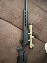 Bild für TAC-41 Silverback