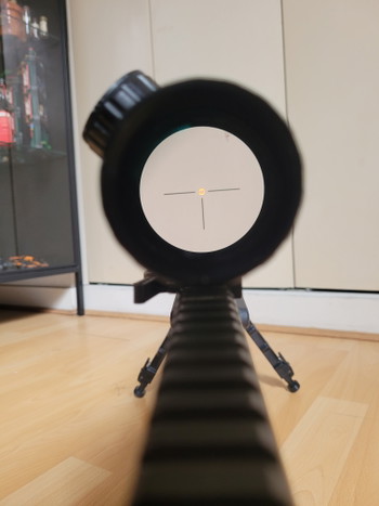 Imagen 2 de Scar h tpr