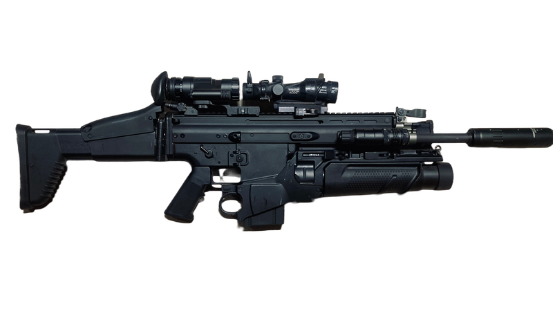 Image 1 pour SCAR-H EGLM VFC full accessories