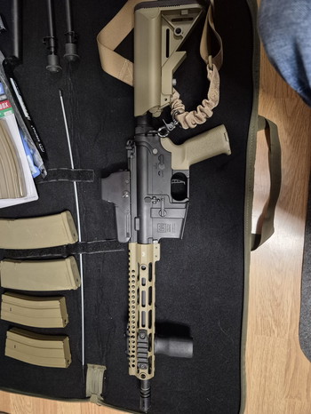 Imagen 2 de SA-P20-Prime Aster II