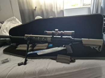 Imagen 3 de SA-P20-Prime Aster II