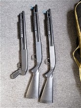 Afbeelding van 3 asg shotguns