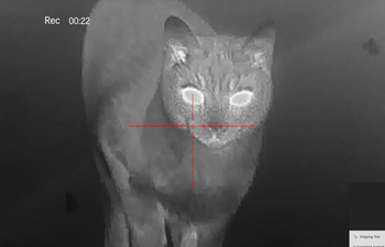 Imagen 3 de PARD Pantera 256 Q Thermal imager