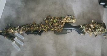 Bild 2 für Ssg10 a1