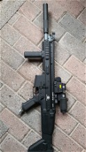 Image for Scar l op hpa