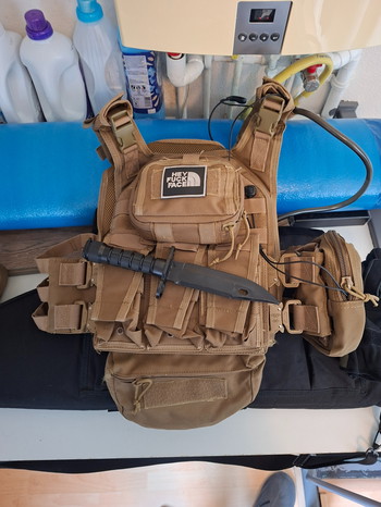 Imagen 4 de M4 en plate carrier.