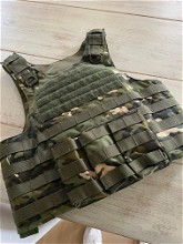 Image for Mooie plate carrier