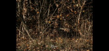 Image 4 pour Costum KMCS Ghillie Covers