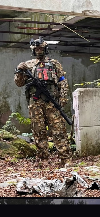 Imagen 6 de Volledig complete fsb contract leaf set