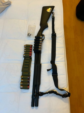 Bild 2 für Golden eagle m870