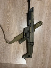 Image for TM scar L