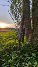 Bild für Sig Sauer MCX Spear LT01T Cerakote Bronze Limited edition Arron Smith