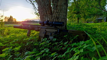 Afbeelding 2 van Sig Sauer MCX Spear LT01T Cerakote Bronze Limited edition Arron Smith