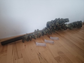 Image pour Upgraded SSG10