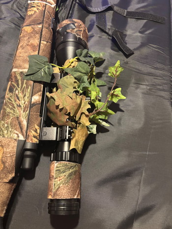 Image 8 for Ssg10 a1