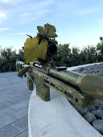 Afbeelding 3 van SILVERBACK TAC 41 FULLY UPGRADED EDGI