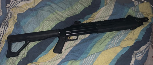 Imagen para Sunny Schwarze