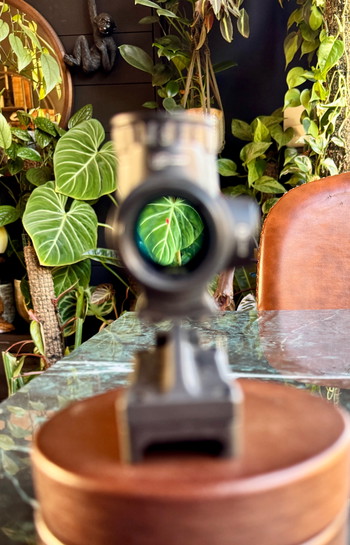 Imagen 3 de Trijicon MRO red dot