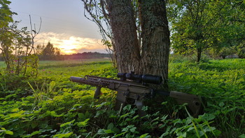 Image 4 pour Sig Sauer MCX Spear LT01T Cerakote Bronze Limited edition Arron Smith
