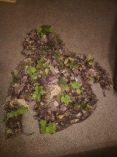 Afbeelding van Nov shoulder piece