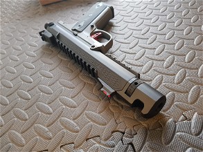 Image pour AAP-01 ruger style build + mags