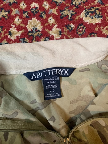 Image 5 for Arctyrex leaf sphinx