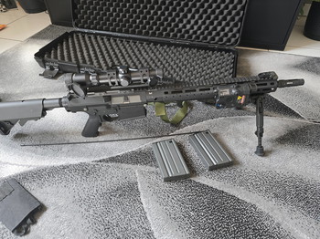 Image 3 pour G&G SR-25