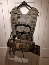 Image for SSO SPOSN Smersh Molle