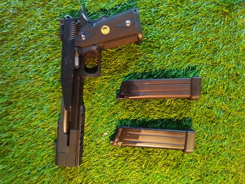 Image 1 for We hicapa 2 mags