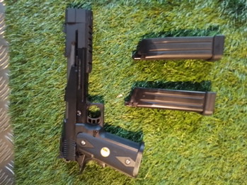 Image 3 for We hicapa 2 mags