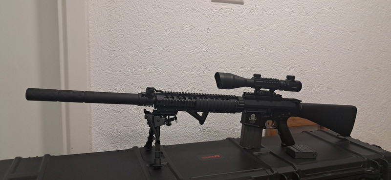 Imagen 1 de Sr25 met scoop  2 hi caps 1 low  en een koffer