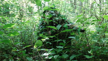 Image 5 for I will make your dream Ghillie, handmade in Poland!