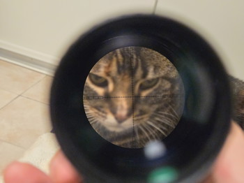 Afbeelding 3 van Novritsch 1-4x LPVO