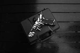 Imagen para VFC G17X-Zebra Build