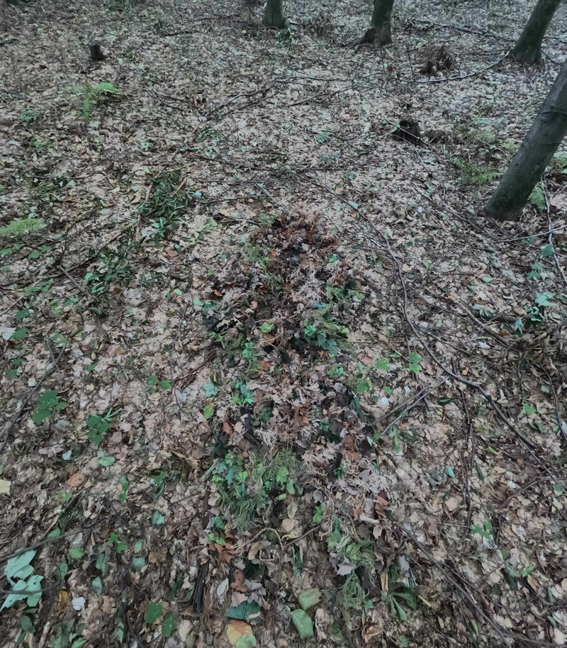 Bild 1 für original SSO army ghillie suit