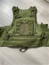 Image for MOLLE Plate carrier (light green)