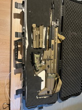 Image for Tm Scar L